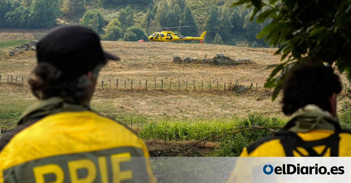 AFOjanguren's tweet card. "No hay una normativa que sustente la ilegalidad de las posibles agresiones al parque", afirma el Doctor en biología Rolando Rodríguez