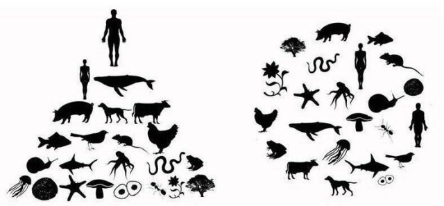 akshay_ramkumar's tweet card. During the pandemic, I featured on a podcast where I discussed the idea of environmental economics. In my discussion, I talk about how listeners at home could begin thinking about their r…