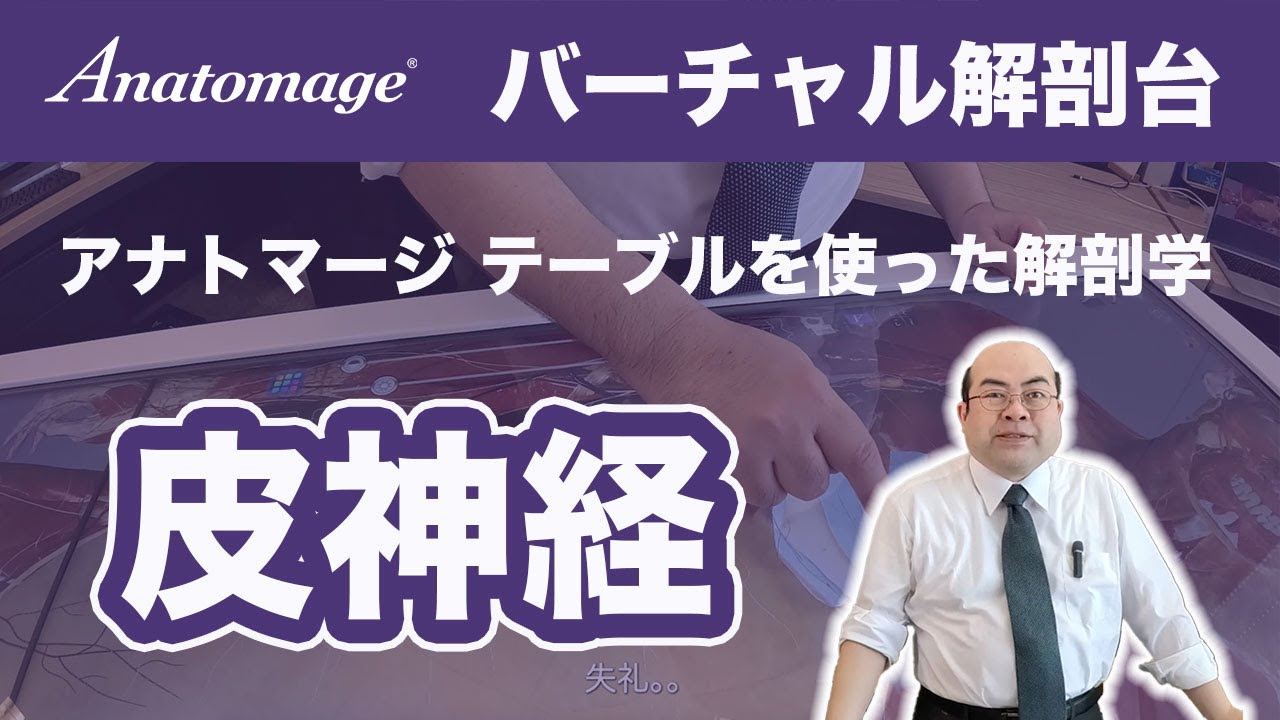 AnatomageJapan's tweet card. 【解剖学 皮神経】バーチャル解剖台 アナトマージテーブルを使った解剖学
