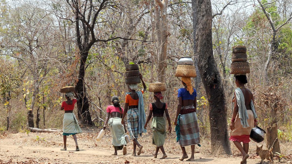 vijaita's tweet card. Forest rights titles in Chhattisgarh vanish from records, raising concerns about implementation of Forest Rights Act.