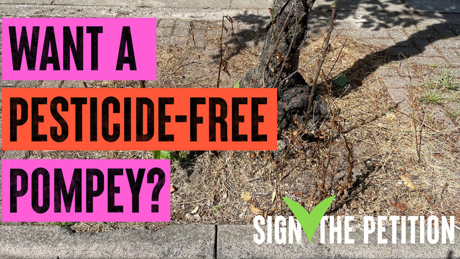 hacktome's tweet card. Ban pesticides in Portsmouth's public spaces