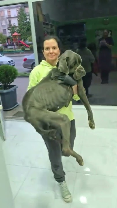 LoveBling6's tweet card. Cruelty Has No Limits — But Neither Does Compassion. Help Us Save...