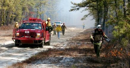 sectionb10's tweet card. The New Jersey Forest Fire Service will conduct prescribed burns in 14 locations within Cape May, Atlantic, Cumberland and Ocean counties to reduce the risk of wildland fire through Presidents