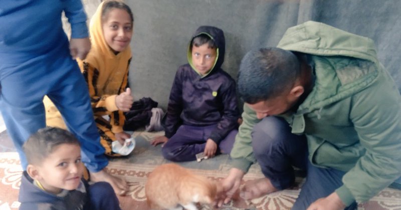 Tweet card summary image