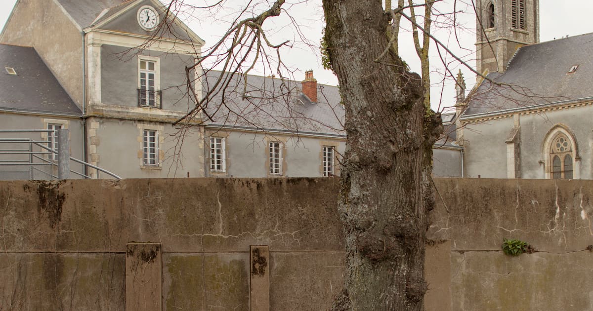 libe's tweet card. Des années 50 aux années 70, des centaines d’enfants, élèves au petit séminaire de Chavagnes-en-Paillers, en Vendée, ont subi des violences sexuelles par les prêtres encadrant.