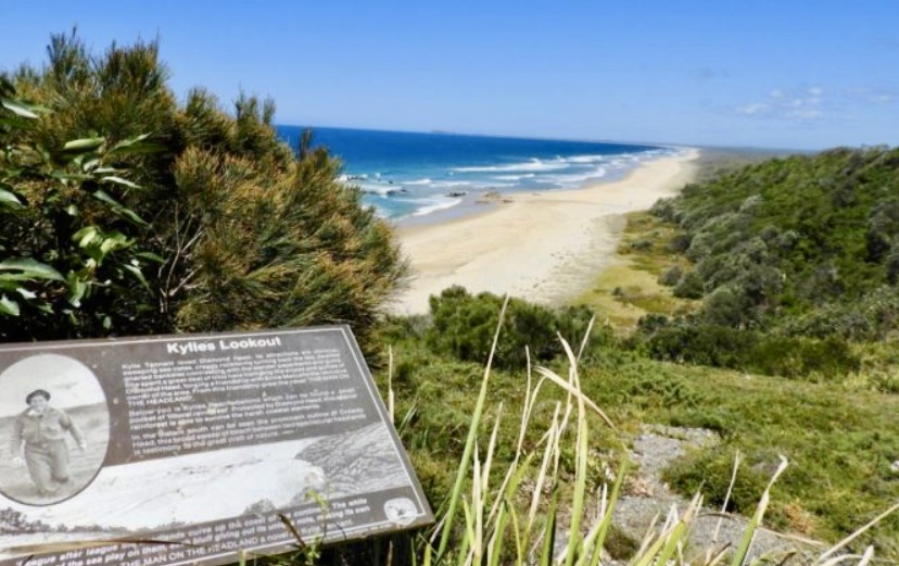 ExplorersWeb's tweet card. A vacationing Swiss couple was in the water off Kylies Beach in New South Wales filming a pod of dolphins when a three-meter bull shark attacked them.