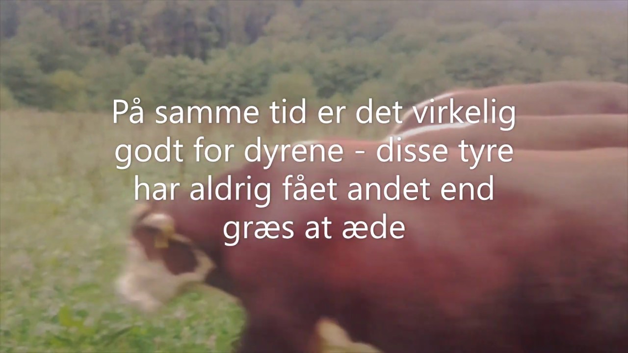 KyedSybille's tweet card. kulstofbinding dk