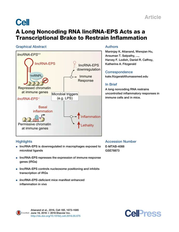 DocsDel's tweet card. Long intergenic noncoding RNAs (lincRNAs) are important regulators of gene expression. Although lincRNAs are expressed in immune cells, their funct...