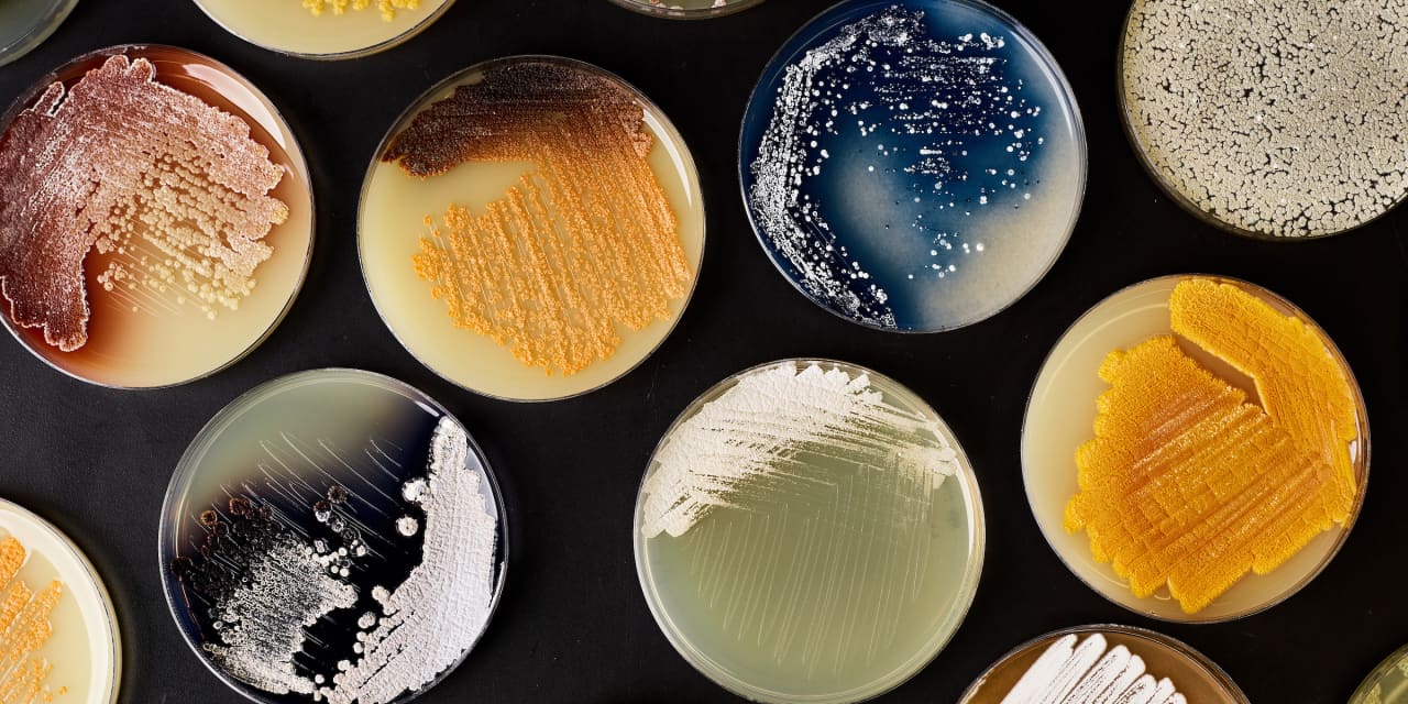 ProjectOption's tweet card. Wall Street is catching on to the huge promise of firms that can use the raw materials of life to create useful products.