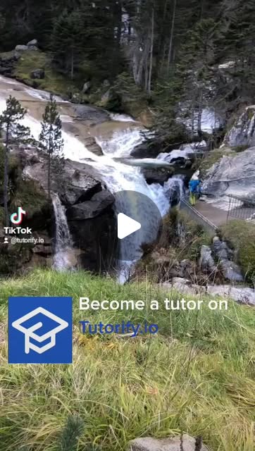 tutorifyapp's tweet card. Tutorify (@tutorify.io) • Instagram reel