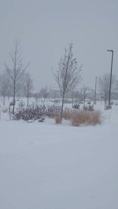 foxgra_p's tweet card. IA, Storm, snow