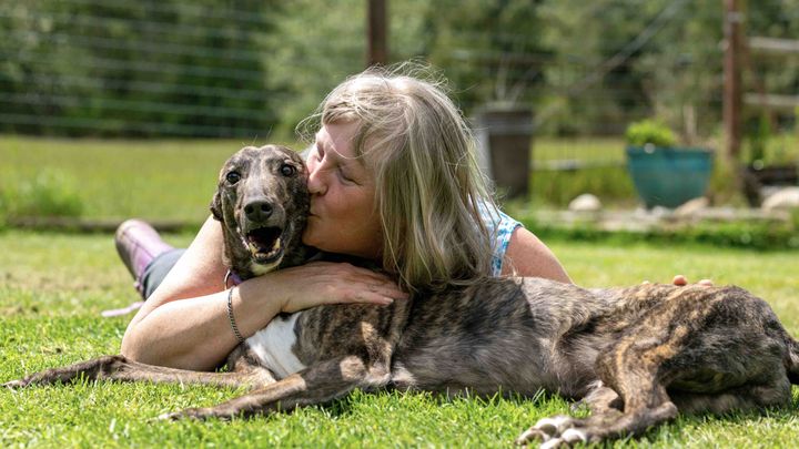 cisoinsights's tweet card. Hi, I’m fundraising for my friend, Laura, who has a greyhound rescue dog named B… Christine Ackermann needs your support for Bellamy’s Emergency Medical Costs