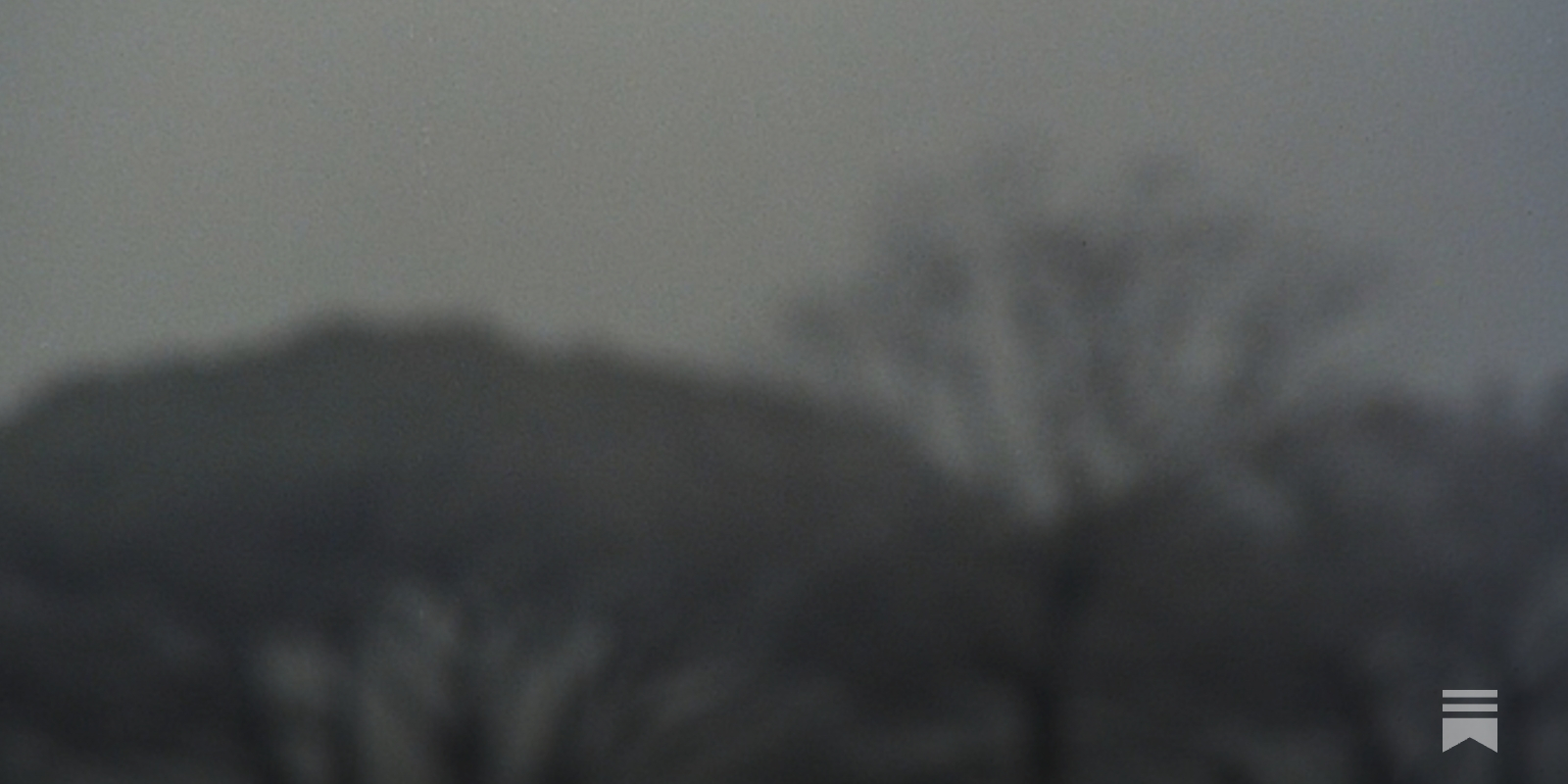 LewisBeerBlog's tweet card. Loss of focus