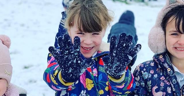 Tweet card summary image