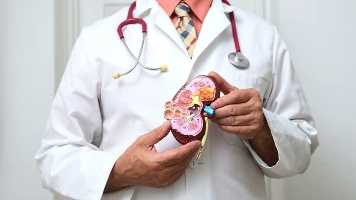 haberEsha's tweet card. Kanada’daki Montreal Üniversitesi Hastane Araştırma Merkezi (CRCHUM) bilim insanları, dünyada ilk kez böbreklerdeki ince damarları koruyabilen bir mikroRNA tanımladı.