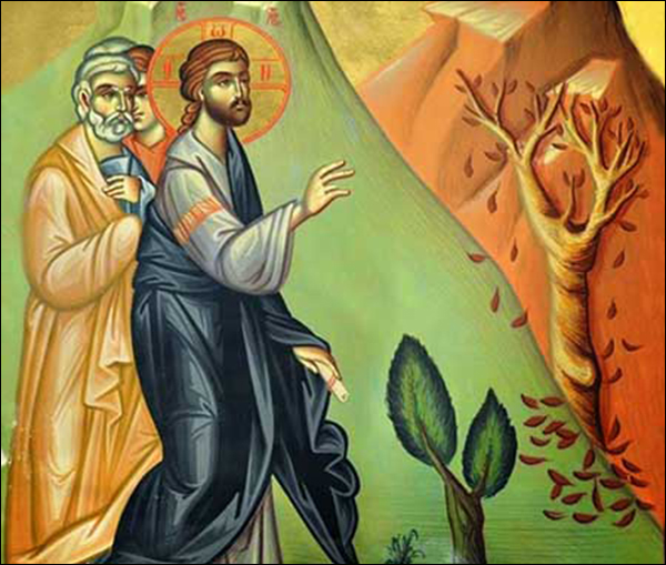 CarloMVigano's tweet card. Qui legit intellegat : homélie donnée par Mgr Carlo Maria Viganò, archevêque, pour le premier dimanche de l'Avent.