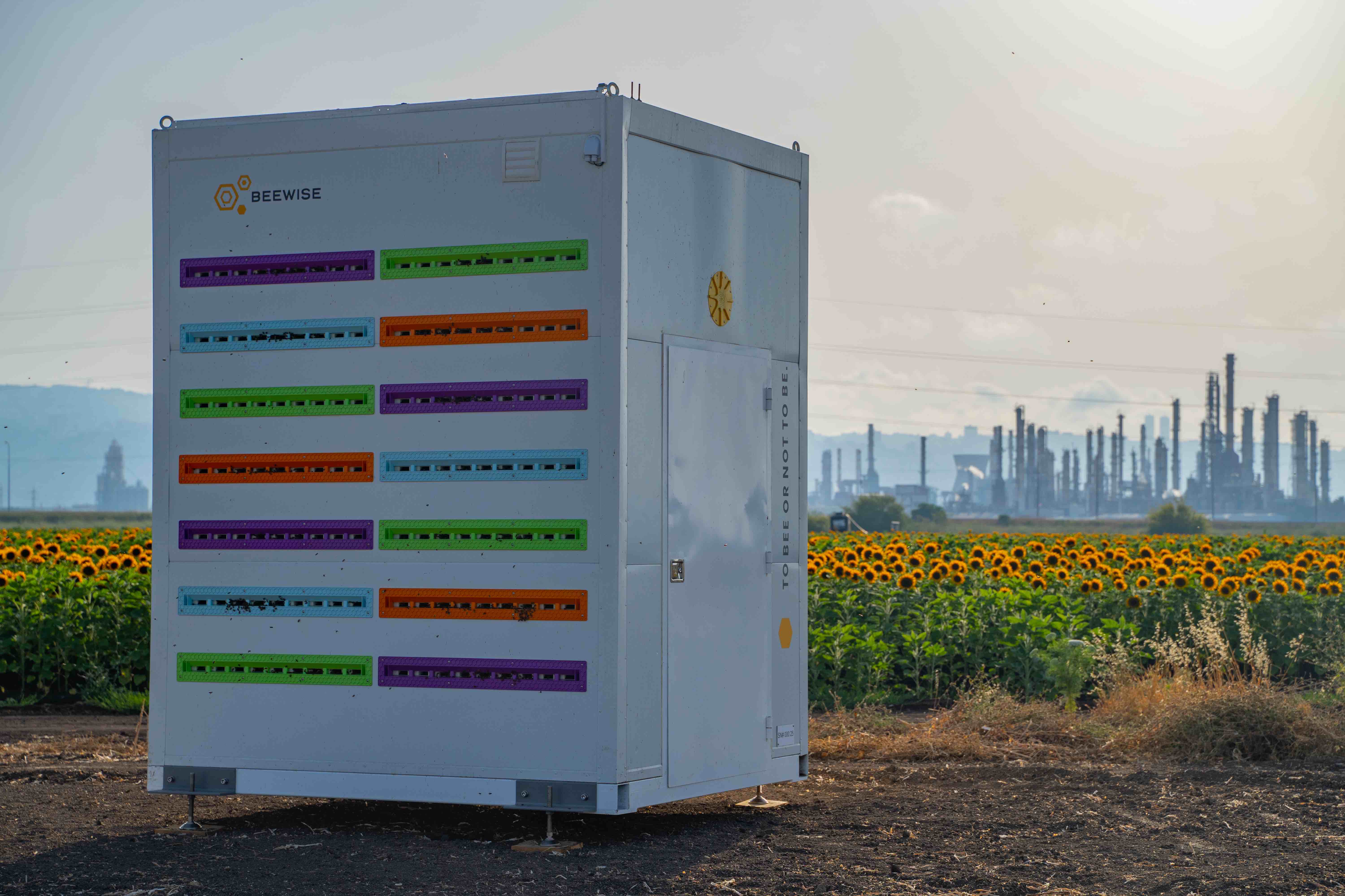 PalladyneAI's tweet card. Actuator newsletter from TechCrunch: Trees, bees, over streets and under seas