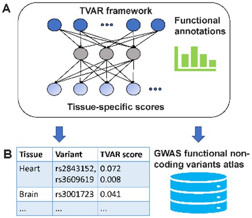 jsantoyo's tweet card. AbstractMotivation. Analysis of whole-genome sequencing (WGS) for genetics is still a challenge due to the lack of accurate functional annotation of non-co