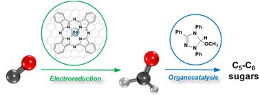SCORE_Lab_Lyon's tweet card. The conversion of C1 molecules (single-carbon species) into Cn products (carbon chains) is a key challenge for developing sustainable chemical feedstocks to replace fossil resources. Carbohydrates, a...