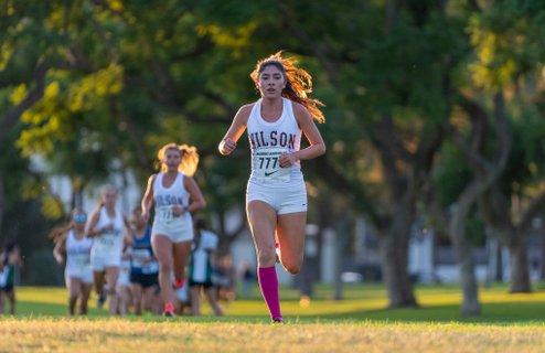 Image for twitter card