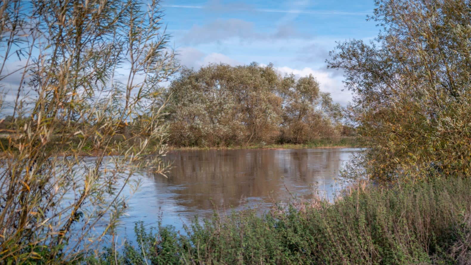 pmdfoster's tweet card. Polluters face few penalties thanks to regulator’s lack of resources