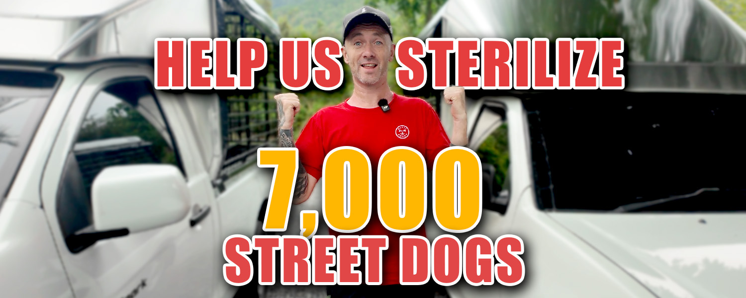 K4TE_D's tweet card. Niall Harbison, founder of Happy Doggo, is running the Bangkok Marathon with less than 30 days training to help the street dogs of Thailand. Thanks to the amazing support of our community we have...
