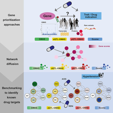CellGenomics's tweet card. Sadler et al. compared and benchmarked genetically informed approaches combined with network diffusion to prioritize drug target genes. Gene prioritization methods were based on large-scale genetic...