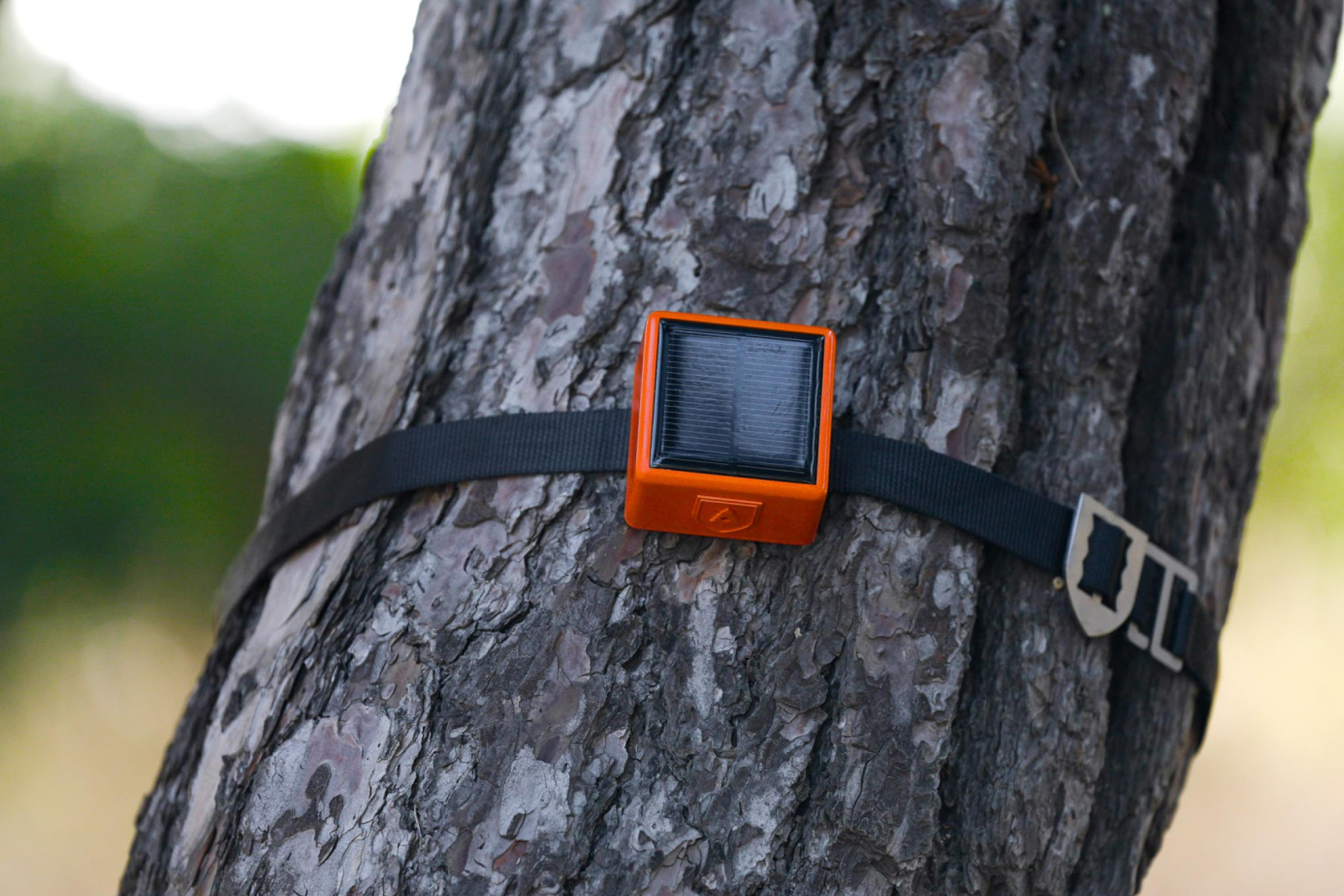 WhatDesignCanDo's tweet card. In 2021, there were 19 major wildfire disasters globally — the third-highest number recorded in this century.…