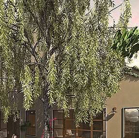 VisualesMachine's tweet card. visualesmachine (@visualesmachine) • Instagram photo