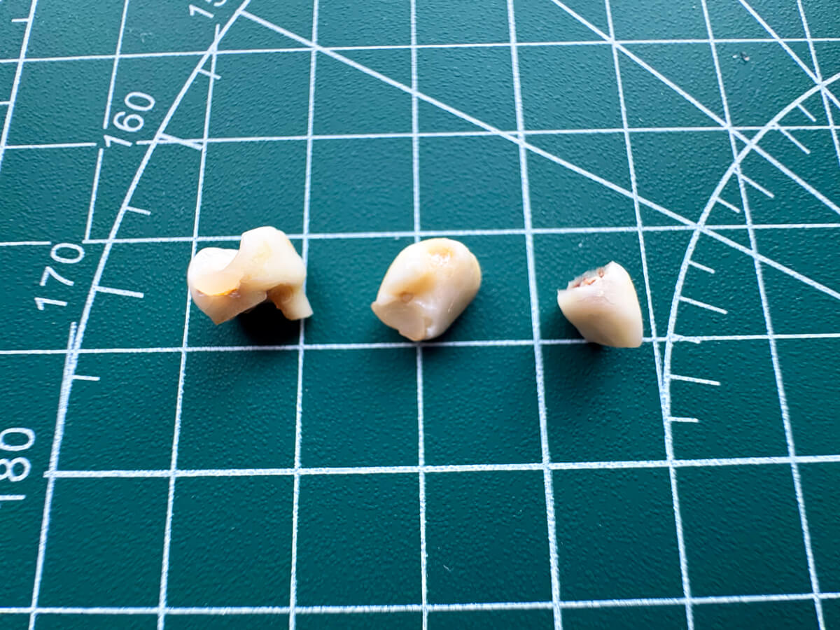 TataDeveloper's tweet card. Żniwa Wróżki Zębuszki