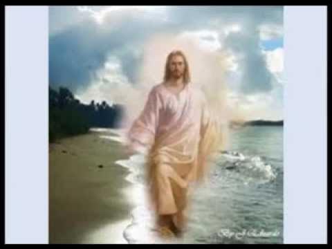 a0976ee534e043c's tweet card. PEGADAS NA AREIA- VERA LÚCIA