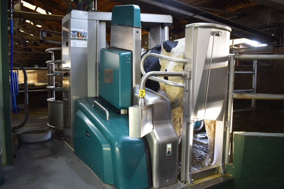 int_ganaderia's tweet card. La nueva generación del DairyRobot R9500 de GEA ha conseguido mejorar significativamente la eficiencia del ordeño automatizado...