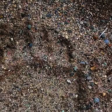 _totesmygoats_'s tweet card. Heather Nicole Brannon (@toastabsorbs) • Instagram photo