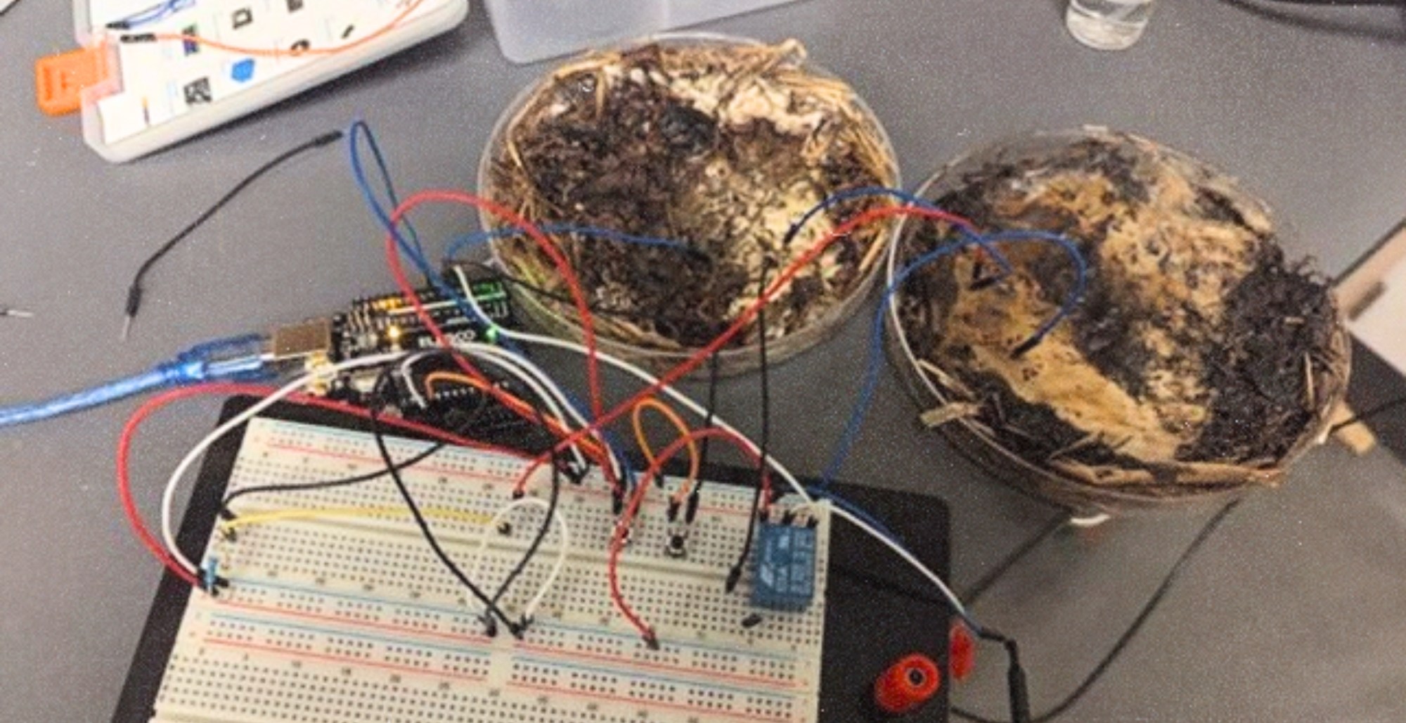OhioStateERIK's tweet card. Scientists have just built working computer components out of shiitake mushrooms. What does it mean for the future?