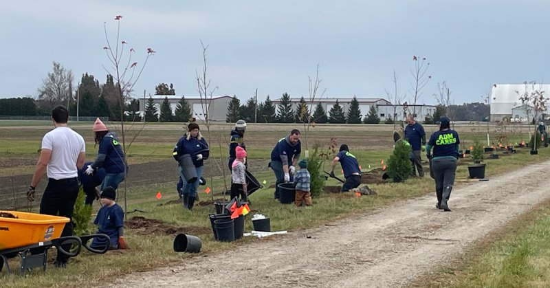 Tweet card summary image