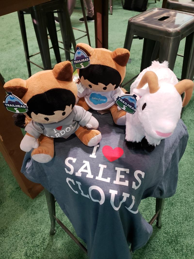 development20's tweet card. At the Salesforce New York Worldtour with all my swag 😁