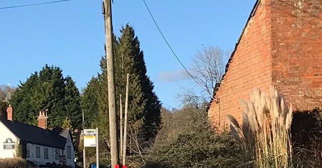 Tweet card summary image