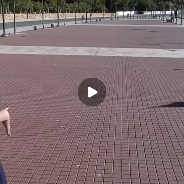 gagdmac's tweet card. multimedia.reyicad (@multimedia.reyicad) • Instagram video