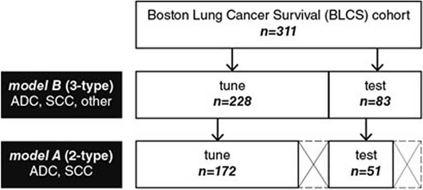 AiMedicinePaper's tweet card. Scientific Reports - Deep learning classification of lung cancer histology using CT images