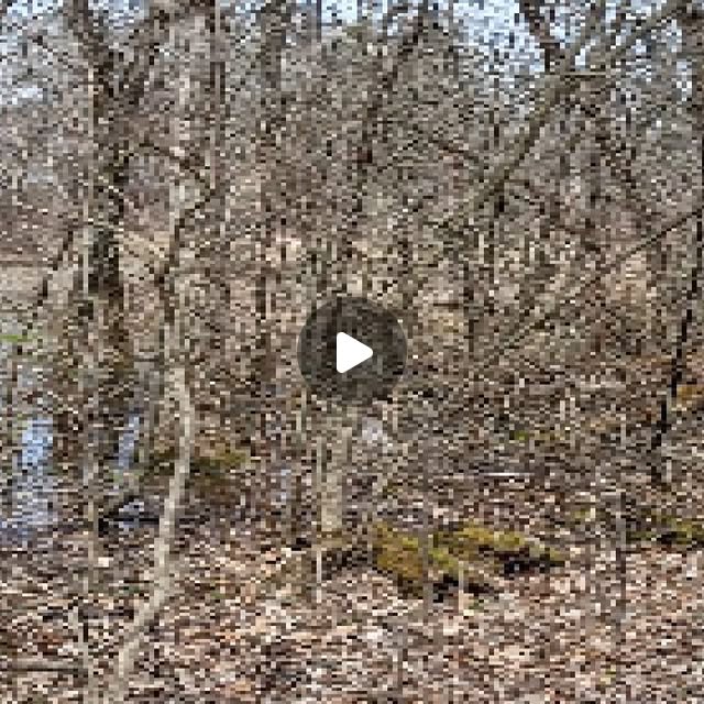 cjucoder's tweet card. @cjucoder • Instagram video