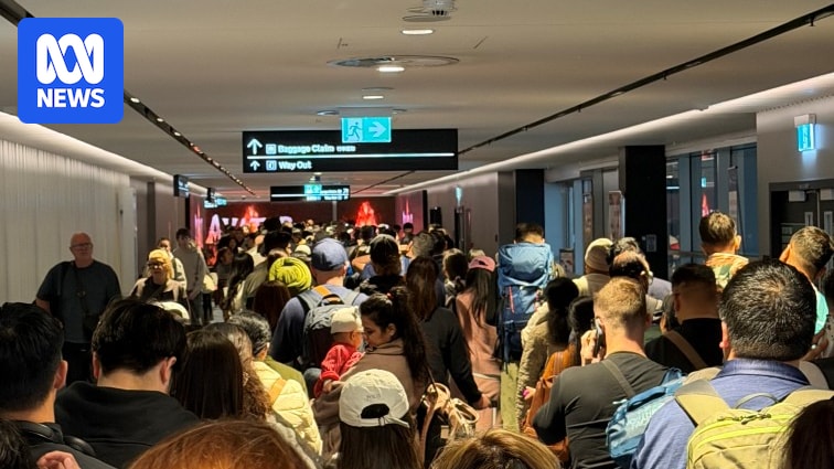 AvidCommentator's tweet card. Long queues at international terminals have now cleared after a nationwide system outage affected all inbound and outbound passengers.