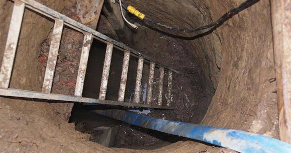 JolinkNet's tweet card. Toronto police say they found a rosary, a Remembrance Day poppy, and a ladder inside the mystery tunnel (alright, "bunker") discovered near…