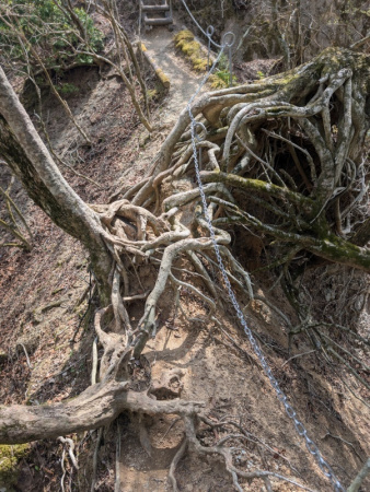 xuonix_com's tweet card. 春、私は丹沢の奥深く、「魔境」と称される大山三峰山から鐘ヶ嶽までの縦走に挑んだ。日帰りとしてはやや長めの距離、13.5km。累積標高差は登り1,233m、下り1,431m。十分な体力が求められるルートだ。天候は快晴。歩く...