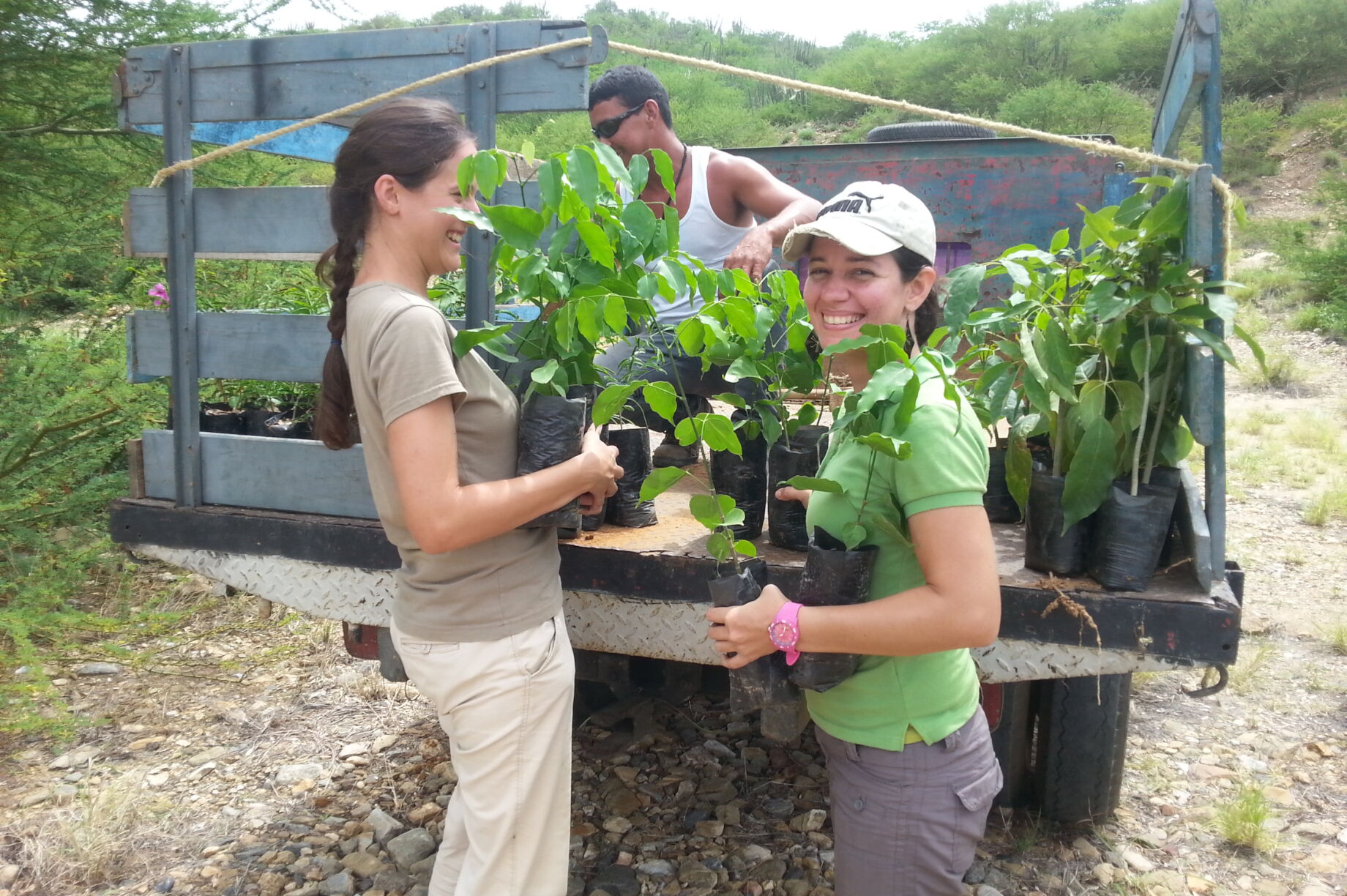 INAContrerasR's tweet card. Restoring Venezuela's unique Macanao Peninsula dry forest, a critical habitat for the threatened Margarita parrot. We're partnering with local communities to reforest abandoned sand mines by planting...