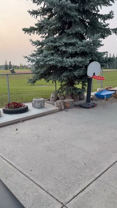 ray_mcphee's tweet card. SAFELY HOME - Unsafe Daycare Practices 2