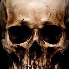 wblackwell333's tweet card. Books by William Blackwell