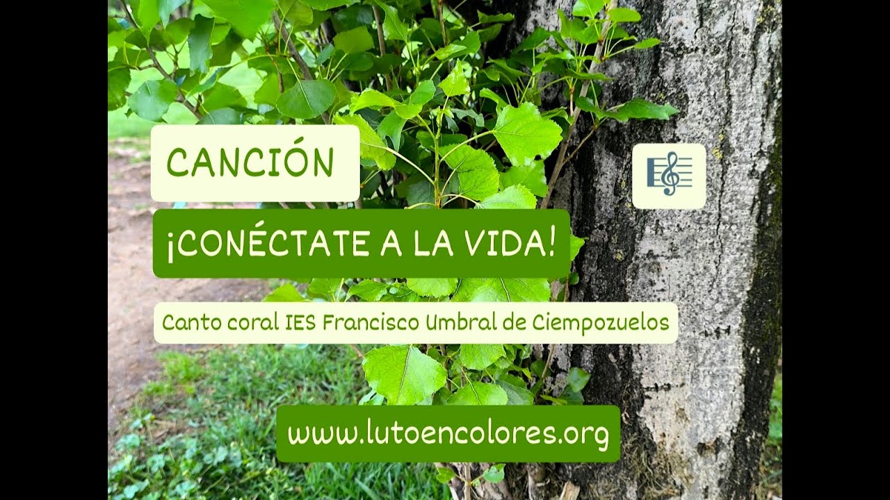 SilviaMeleroAba's tweet card. Canción ¡Conéctate a la Vida! / Canto Coral IES Francisco Umbral de...