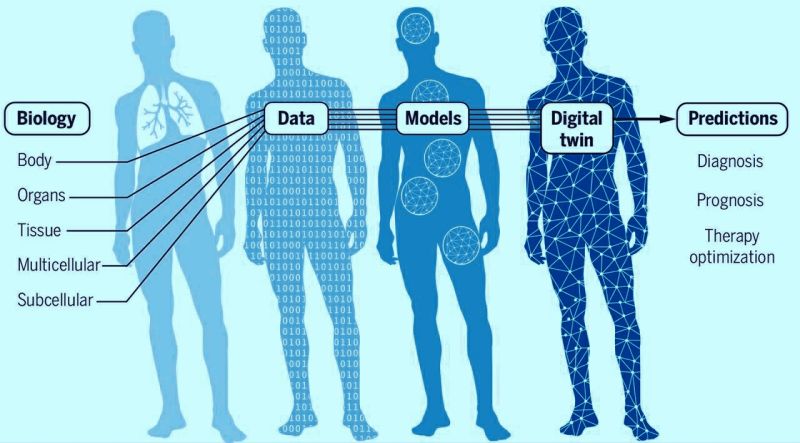 PinakiLaskar's tweet card. How to predict individuals’ future #healthcare needs as well as to prepare to respond more quickly and effectively. Your #digitaltwin could work for proactive, personalized medicine. Building a...