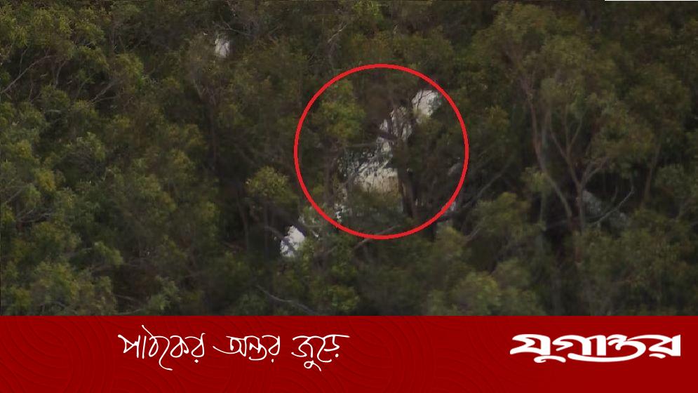 DailyJugantor's tweet card. অস্ট্রেলিয়ার সিডনির কাছে আকাশে দুটি হালকা বিমানের মধ্যে সংঘর্ষ হয়েছে। এতে একটি বিমান বিধ্বস্ত হয়ে একজন পাইলট