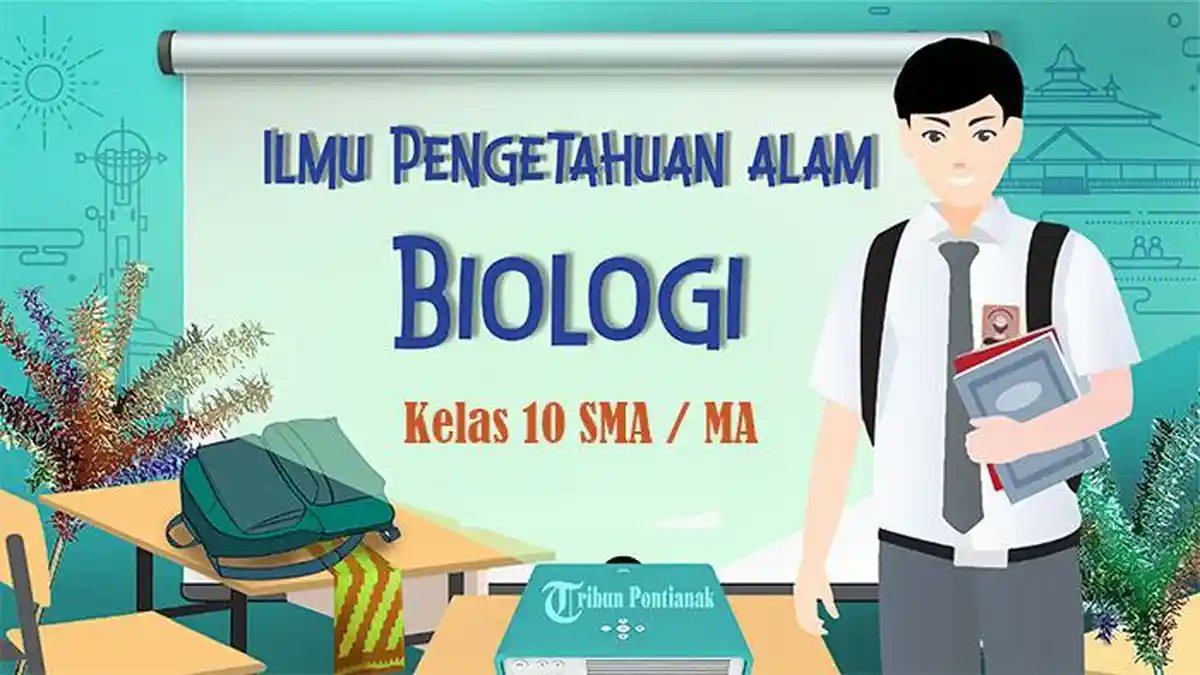 tribunpontianak's tweet card. Ada 50 contoh soal essay serta pilihan ganda lengkap kunci jawaban Biologi yang dirangkum dalam artikel ini.